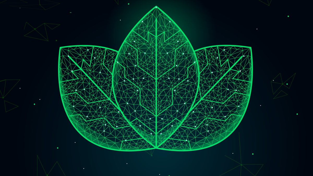 Blockchain and Sustainability Build a Greener Future