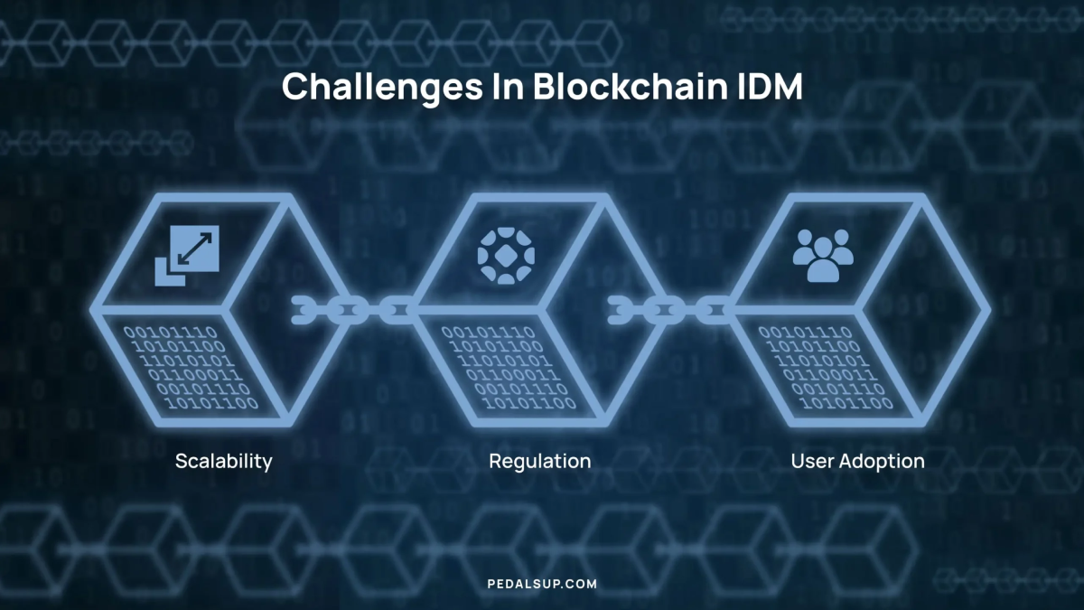 Building Trust with Blockchain-Based Identity Management-3