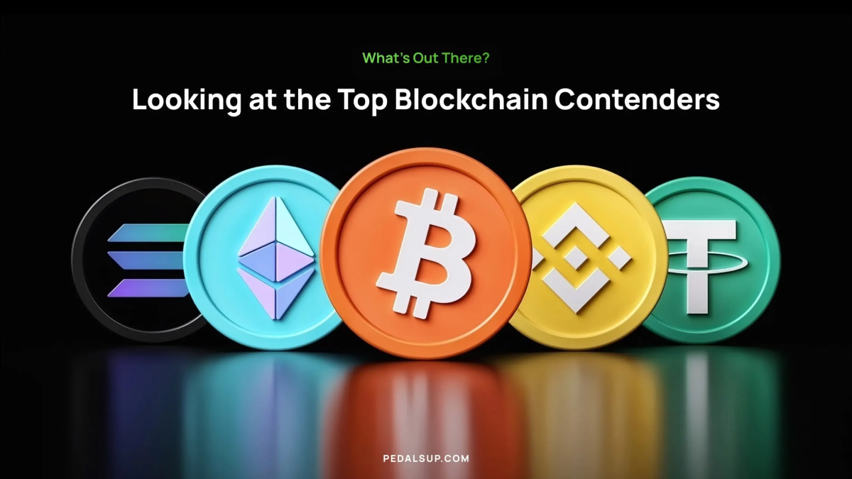 Choosing the Right Blockchain for Your Token-1